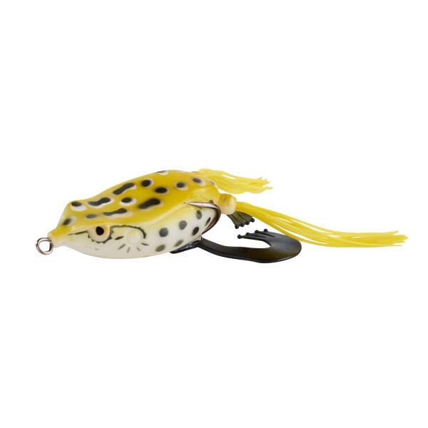 1798-5af57f11b41713-99148622-1-36500-004-Killer-Frog-Sand-Tiger