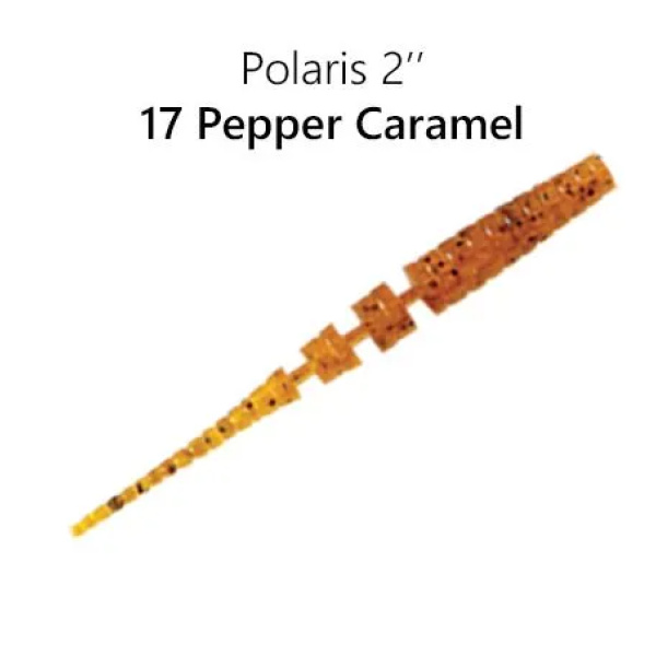 17-17249