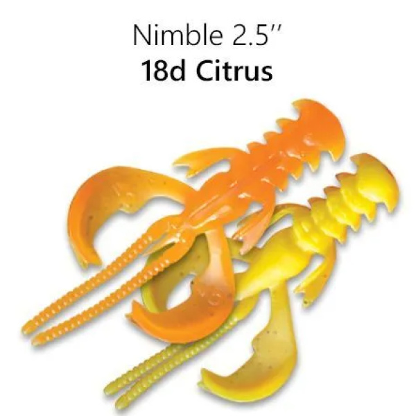 18d-19