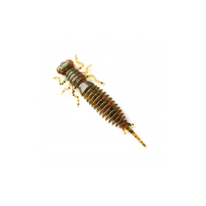 larva-004