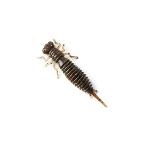 larva-006-2