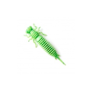 larva-020