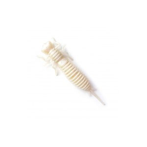 larva-025