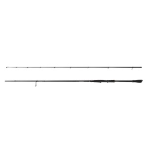1643381-MS-2